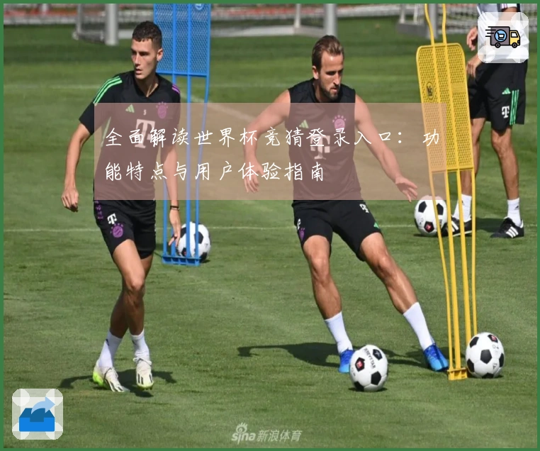 全面解读世界杯竞猜登录入口：功能特点与用户体验指南
