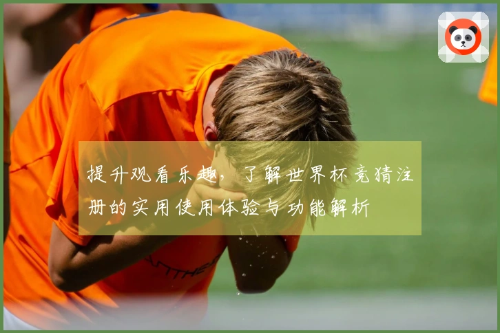 提升观看乐趣，了解世界杯竞猜注册的实用使用体验与功能解析