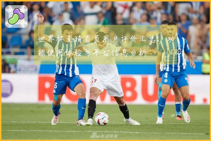 世界杯竞猜首页用户评价汇总：功能使用体验与平台信息分析