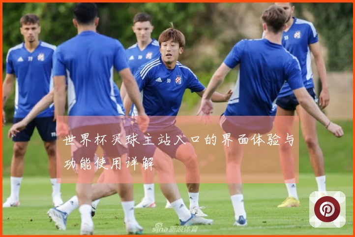 世界杯买球主站入口的界面体验与功能使用详解