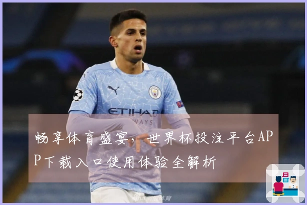 畅享体育盛宴，世界杯投注平台APP下载入口使用体验全解析