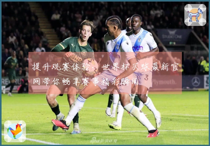 提升观赛体验，世界杯买球最新官网带你畅享赛事精彩瞬间