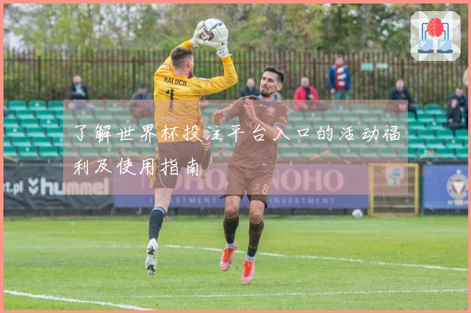 了解世界杯投注平台入口的活动福利及使用指南