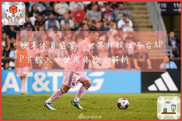 畅享体育盛宴，世界杯投注平台APP下载入口使用体验全解析