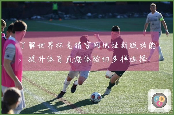 了解世界杯竞猜官网地址新版功能，提升体育直播体验的多样选择