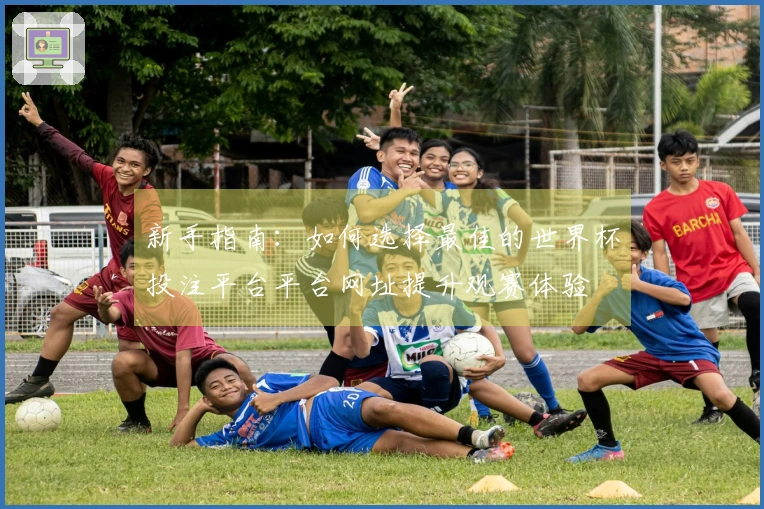 新手指南：如何选择最佳的世界杯投注平台平台网址提升观赛体验