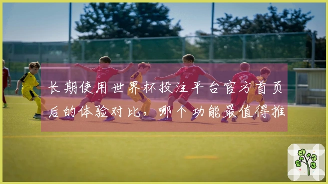 长期使用世界杯投注平台官方首页后的体验对比，哪个功能最值得推荐？