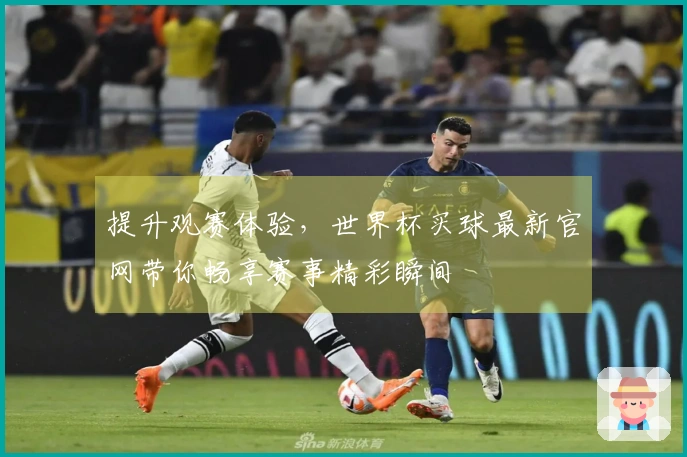 提升观赛体验，世界杯买球最新官网带你畅享赛事精彩瞬间