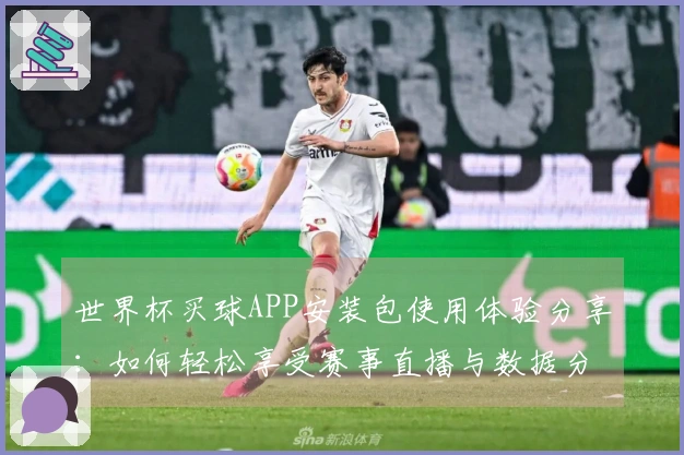 世界杯买球APP安装包使用体验分享：如何轻松享受赛事直播与数据分析