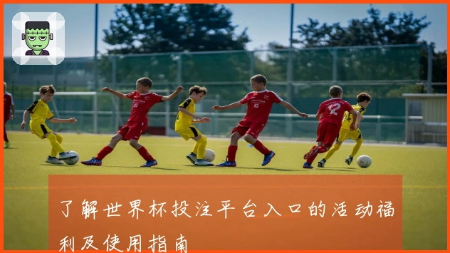 了解世界杯投注平台入口的活动福利及使用指南