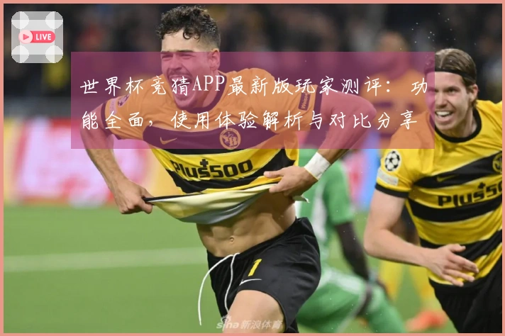 世界杯竞猜APP最新版玩家测评：功能全面，使用体验解析与对比分享