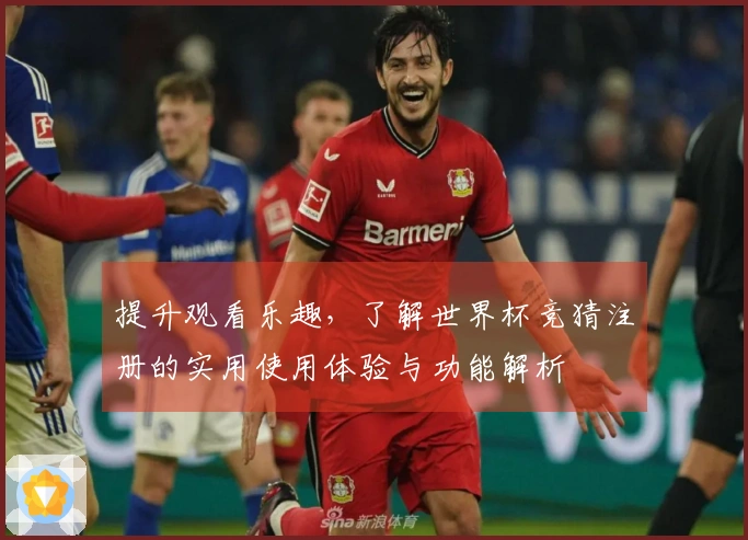 提升观看乐趣，了解世界杯竞猜注册的实用使用体验与功能解析