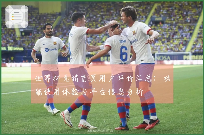 世界杯竞猜首页用户评价汇总：功能使用体验与平台信息分析