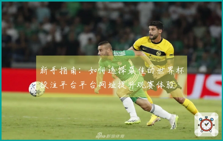 新手指南：如何选择最佳的世界杯投注平台平台网址提升观赛体验