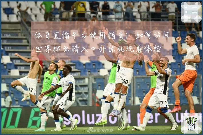 体育直播平台使用指南：如何访问世界杯竞猜入口并优化观看体验