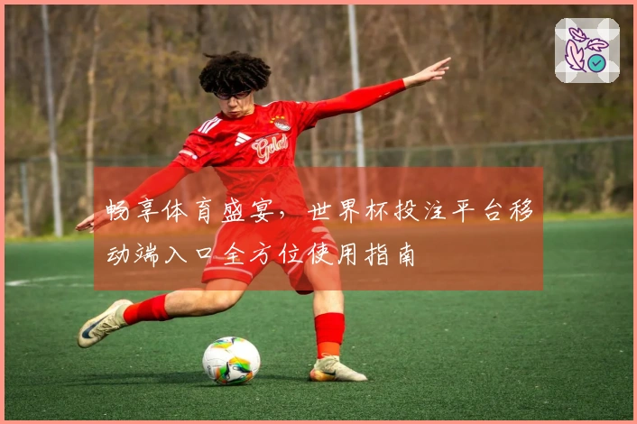 畅享体育盛宴，世界杯投注平台移动端入口全方位使用指南